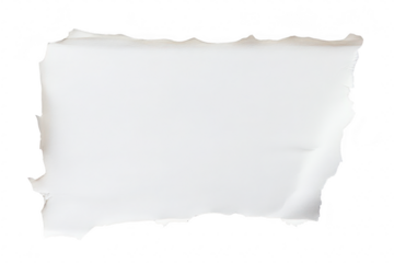 A torn piece of white paper with irregular edges. lying flat on a clean white surface. creating a minimalist aesthetic perfect for backgrounds or artistic presentations