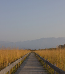 Fototapeta premium Wooden boardwalk leading through tall golden grass towards distant blue mountains under a clear evening sky. Minimal natural landscape with strong perspective, travel and nature background.