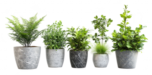 A collection of five potted indoor plants in various sizes. green foliage in modern gray marble pots. set against a clean white background. ideal for home decor inspiration