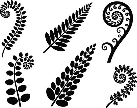 Decorative fern leaves and koru spiral plant silhouettes


