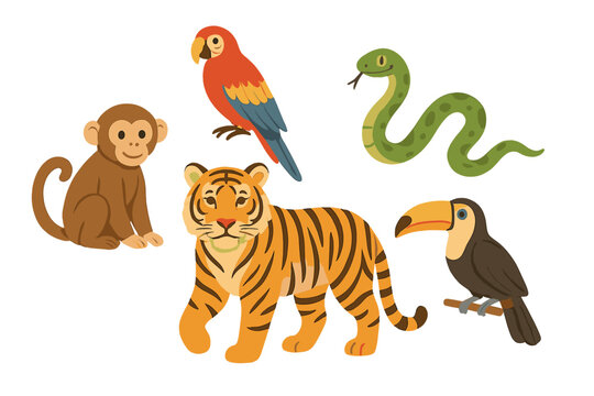Collection of cute jungle and rainforest animals including tiger, monkey, parrot, snake, and toucan