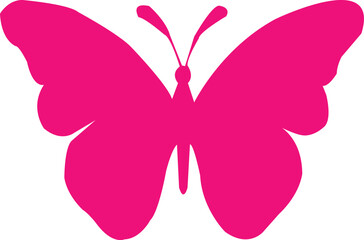 pink color butterfly 