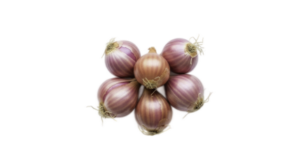 Shallots in Group on Brownish Background For Culinary Illustration