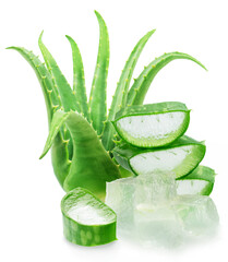 Stack of three aloe vera slices and aloe vera plant, macro shot isolated on white background.