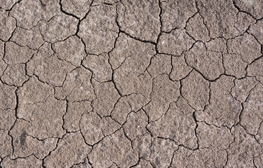 a background of Cracked Dry Earth Texture gray and beige color