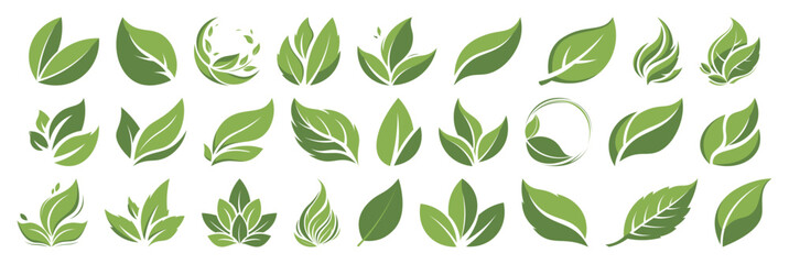 Green leaf icons set. Leaves icon on transparent background. Collection green leaf. Elements design for natural, eco, vegan, bio labels, garden. Vector botanical collection. Fresh plant icons