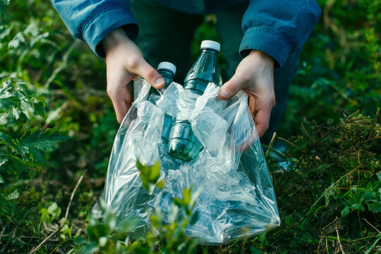 Individuals are collecting plastic bottles hidden among vibrant green plants during a community clean-up effort in a forested area