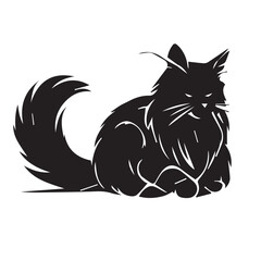 Adorable Domestic Cat Sitting and Looking Curiously at Camera