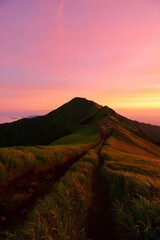 Obraz premium Mountain ridge trail at sunset with pink sky and golden hour light on the grass