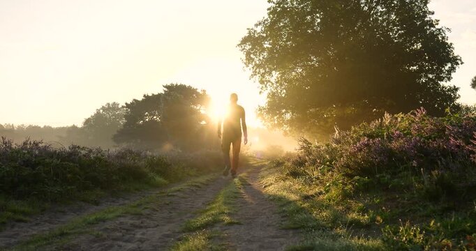 Silhouette of a person walking along a rural path at sunrise in Texel, Netherlands, surrounded by wildflowers, grass, and soft golden light, capturing the calm beauty of the Dutch countryside.