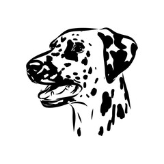 Dalmatian dog, vector sketch