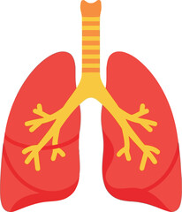 Human lungs anatomy illustration