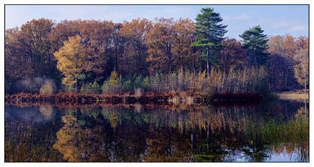 Nature reserve "De Zwarte Duinen", Staphorst, Overijssel province, The Netherlands