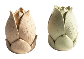 Decorative lotus flower pots space home natural style isolated on transparent background