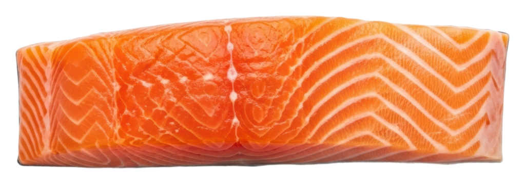 Delicious fresh salmon steak recipe culinary tips for home chefs isolated on transparent background