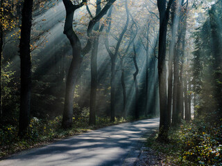 Nature reserve "De Zwarte Duinen", Staphorst, Overijssel province, The Netherlands
