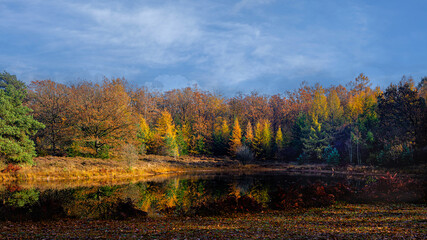 Nature reserve "De Zwarte Duinen", Staphorst, Overijssel province, The Netherlands