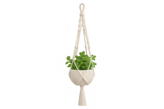 Macrame plant hanger with green houseplant, transparent background