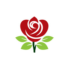 red rose isolated on white background