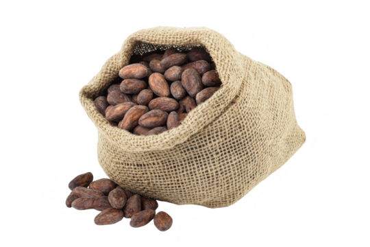 A burlap sack filled with rich. dark cocoa beans spills onto a clean. white surface. the natural texture and color of the beans. ideal for culinary or agricultural themes