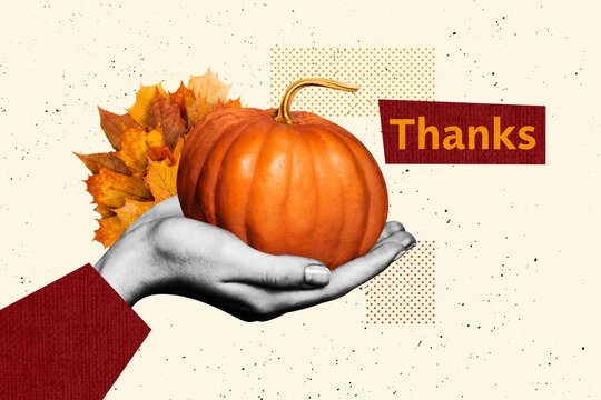 Full 3d artwork trend collage of human hand hold pumpkin dry leaves fan autumn season decoration thanksgiving day occasion