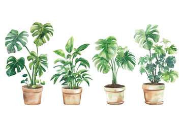 A collection of potted indoor plants diverse foliage. arranged in a bright setting. highlighting their lush green leaves and natural beauty. perfect for home decor inspiration