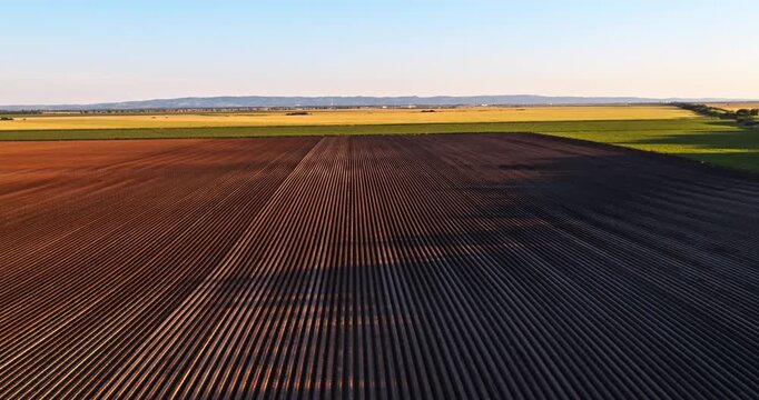 Brown soil with long parallel furrows for agriculture and planting crops
