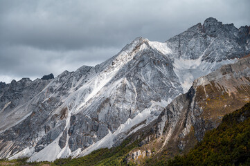 Fototapeta premium The alpine forest scenery of the Qinghai-Tibet Plateau, at the Yading Scenic Area in Daocheng, Sichuan, China.