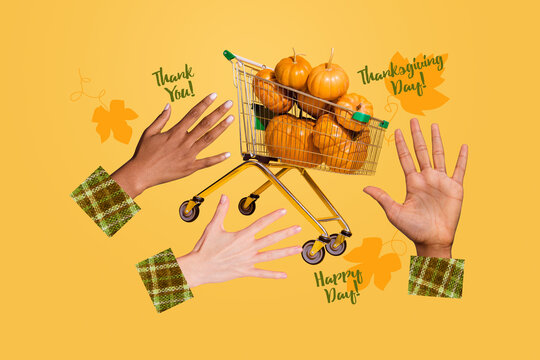 Composite photo 3d pop collage of human hands show vegetable pumpkin black friday autumn sale trolley thanksgiving holiday - Powered by Adobe