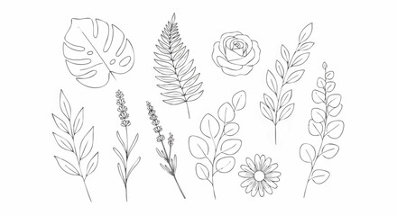 A collection of hand-drawn botanical line art elements including monstera, rose, lavender, fern, and eucalyptus for elegant natural designs