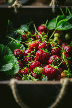 Strawberries in box side angle 1