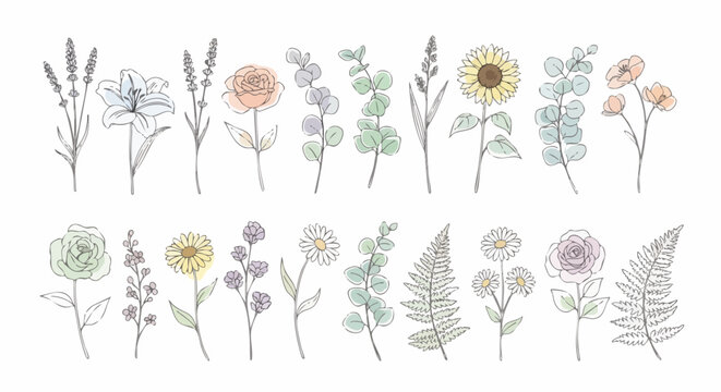 Collection of delicate hand-drawn botanical illustrations featuring various flowers and foliage elements with subtle watercolor accents