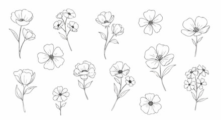 Floral line art illustrations of various flower types