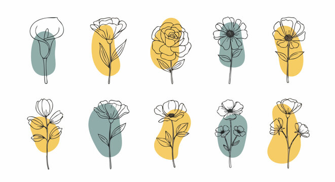 Floral line art illustration on a white background. This design features different flower types with yellow and teal watercolor-style brushstrokes - Powered by Adobe
