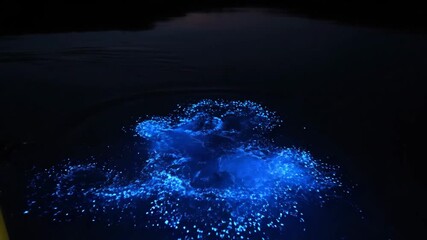 Bioluminescence illuminating the dark ocean water around a kayak paddle, creating a vibrant blue glow from microorganisms disturbed by movement, showing a natural phenomenon at night