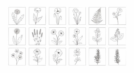 Obraz premium Hand-drawn botanical illustrations. Detailed line art of various flowers, leaves and plants