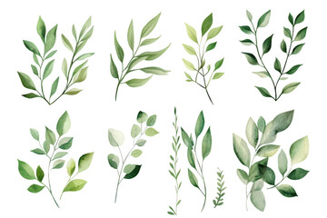 Fototapeta premium A collection of beautifully illustrated green leaves various shapes and sizes. perfect for nature-themed designs. backgrounds. or botanical illustrations