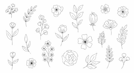 Minimalist botanical line art illustration of flowers and leaves