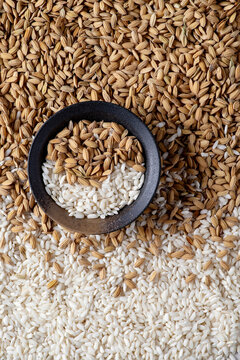 Background of raw, processed and unprocessed rice grains, with a small bowl containing both types of rice in the center foreground.