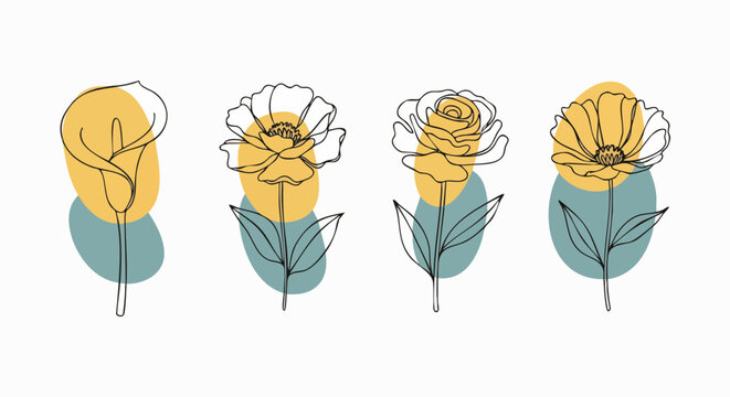 Minimalist line art illustration of four different flowers, including a calla lily, rendered with modern abstract color blobs for decoration