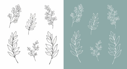 Fototapeta premium Set of delicate hand-drawn botanical line art elements featuring various leafy branches perfect for branding, pattern design, or elegant decoration