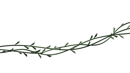 Green twisted plant twigs background. Jungle vines branches wide banner isolated. 3D rendering