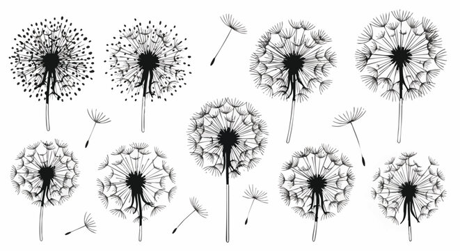 Vector illustration of dandelions in black and white, with a simple and modern style. The pattern is perfect for textile prints and backgrounds