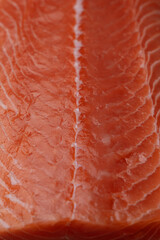 Salmon cut texture close up art