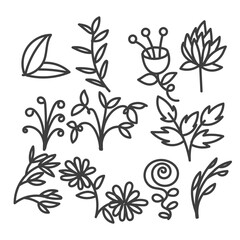 doodle hand drawn flower plant ornament set collection