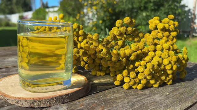 Tansy infusion in a glass Cup on a wooden table. Tansy is a medicinal plant used in folk medicine.