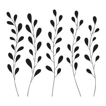 Five black stylized branches with oval leaves on white background plant leaf