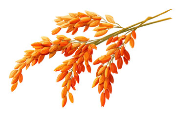 Golden Grain's Elegance: A close-up showcases a collection of golden-hued grains, each one a testament to nature's bounty and the essence of harvest.