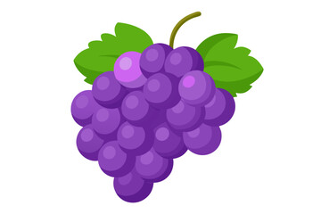 A bunch of ripe purple grapes with green leaves and a stem on a white background