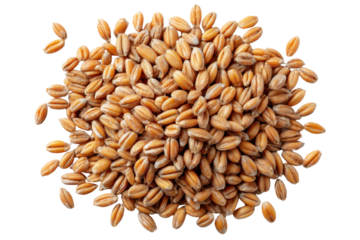 Golden Grain Abundance: A close-up shot of a pile of golden grains, each one radiating a warm, inviting hue, symbolizing nourishment and the bounty of the earth.